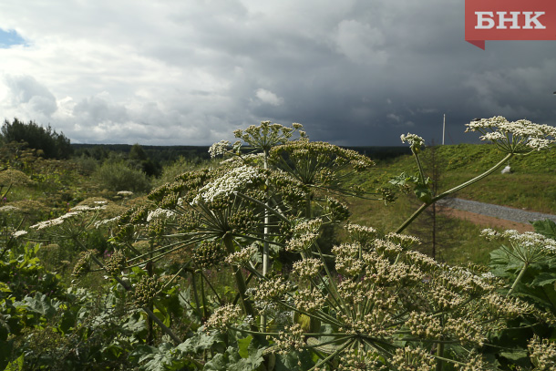 BOB_7697.jpg BOB_7697.jpg