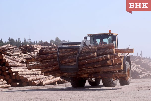 Три лесопромышленных инвестпроекта Коми находятся  в высокой стадии готовности