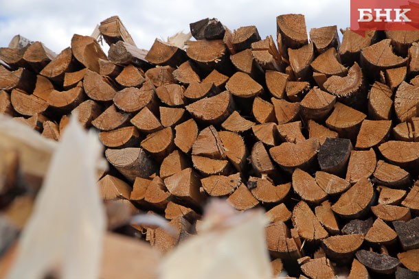 Житель Сосногорска в третий раз предстанет перед судом за рубку леса 