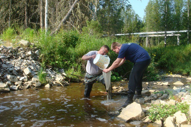 ЛУКОЙЛ-Коми и томские ученые займутся восстановлением водных объектов