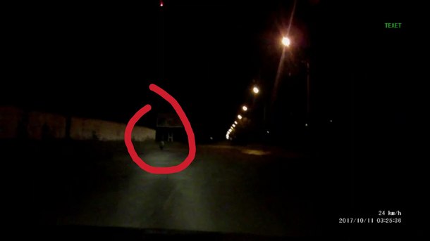 medved1.jpg medved1.jpg