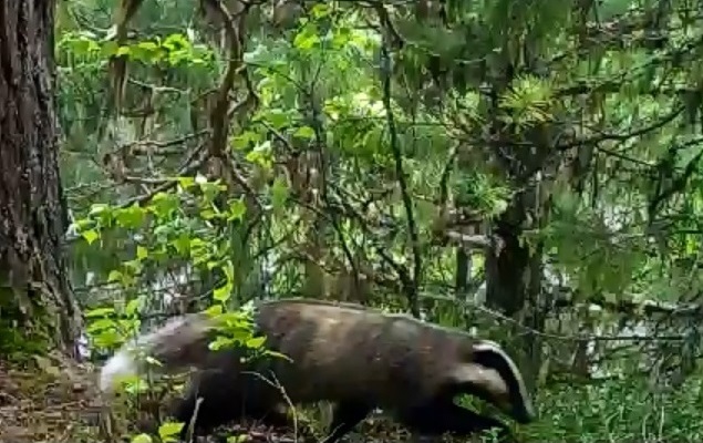 Skrin-3.jpg Skrin-3.jpg