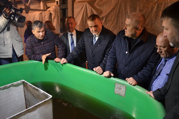 Форелевое хозяйство на Сосногорской ТЭЦ откроют в 2018 году после реконструкции