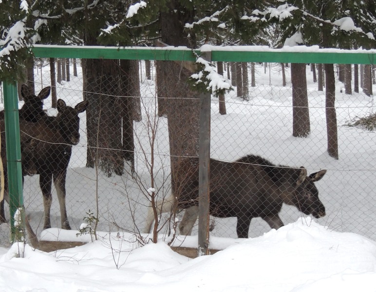 DSCN9902.jpg DSCN9902.jpg