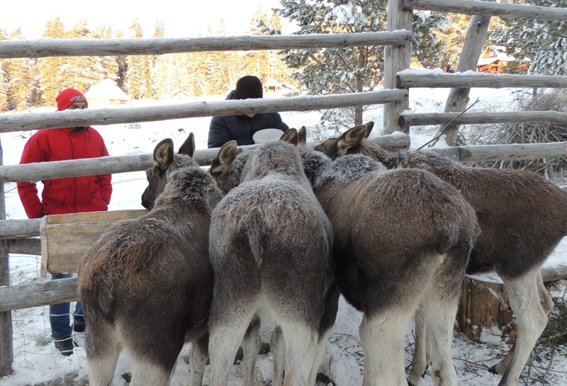 DSCN9926.jpg DSCN9926.jpg