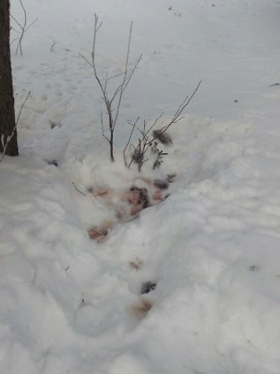 nvrF1KNWqZ8.jpg nvrF1KNWqZ8.jpg