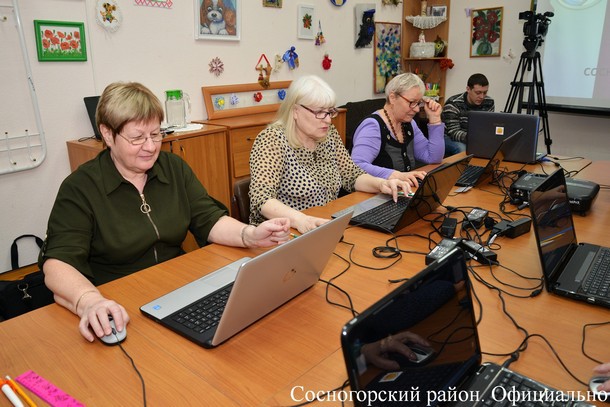 Сосногорские пенсионеры соревновались в компьютерном многоборье