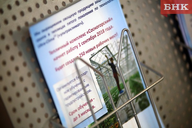 Коми требуется около 150 овощеводов c вводом тепличного комплекса в Сосногорске