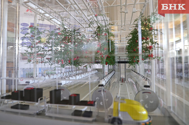 IMG_1631.jpg IMG_1631.jpg