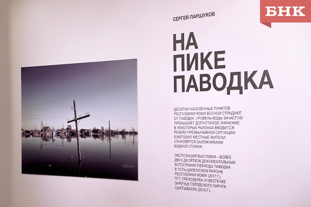 IMG_2869.jpg IMG_2869.jpg