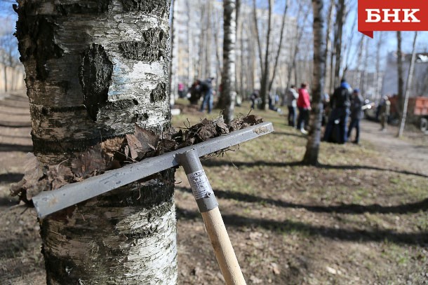 Участников субботника в Ухте наградят скидкой на шашлык