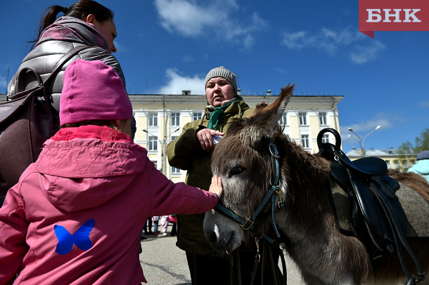 PSV_3215.jpg PSV_3215.jpg