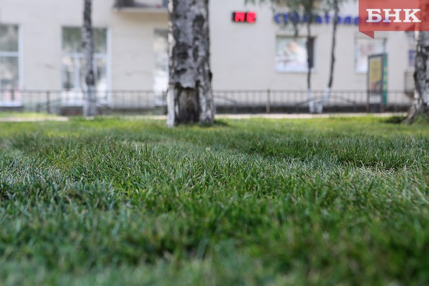 В Сыктывкаре вручную высадили 10 тысяч «квадратов» газонов
