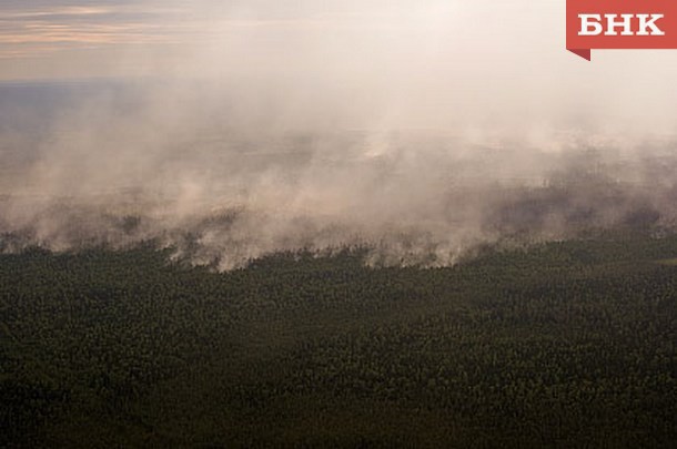 Лесной пожар в Удорском районе тушили парашютисты
