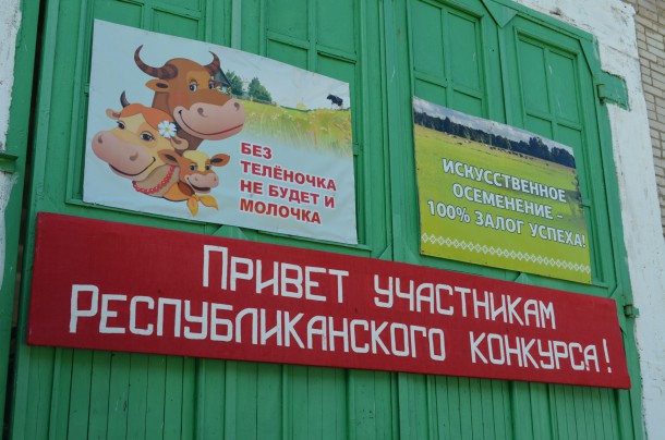 В Коми лучшую технику осеменения коров показала работница из Прилузья