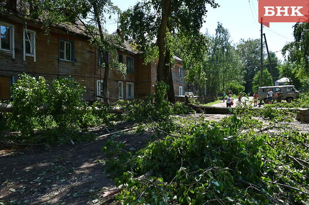 PSV_8532.jpg PSV_8532.jpg