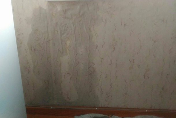 inta-potop.jpg inta-potop.jpg