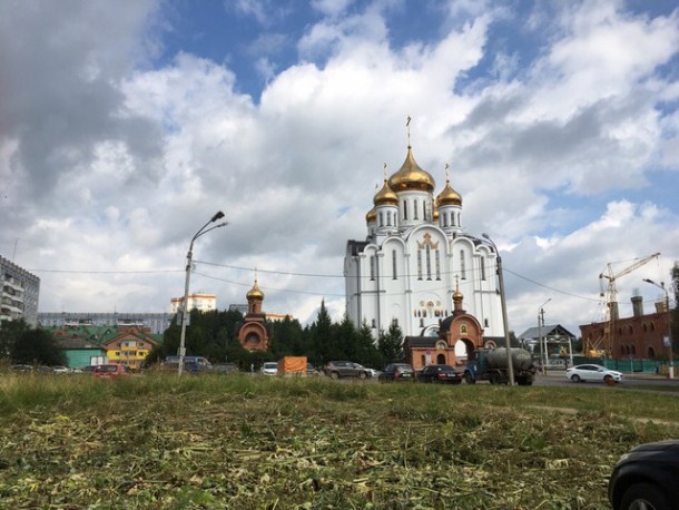 В Сыктывкаре уничтожили борщевик возле Стефановского собора