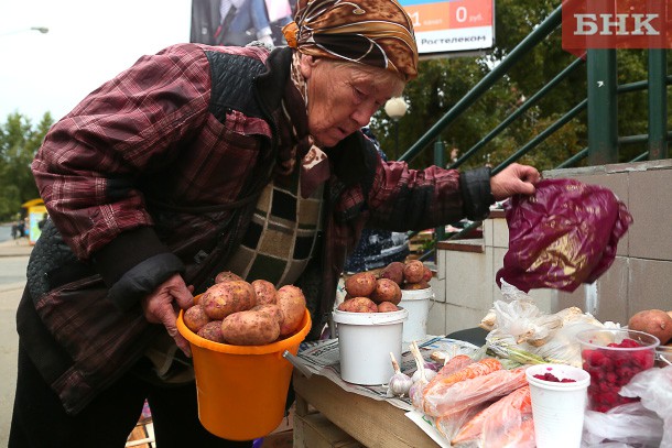 Обзор БНК: за сколько в столице Коми продают овощи и дары леса
