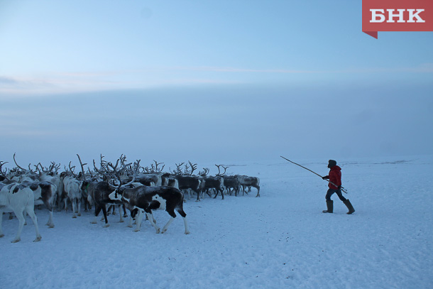 IMG_2473.jpg IMG_2473.jpg