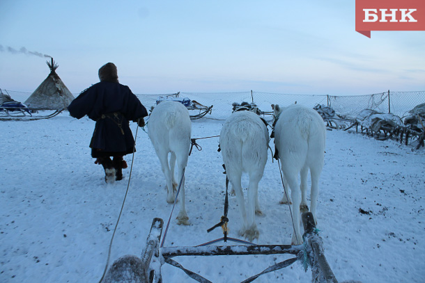 IMG_2489.jpg IMG_2489.jpg