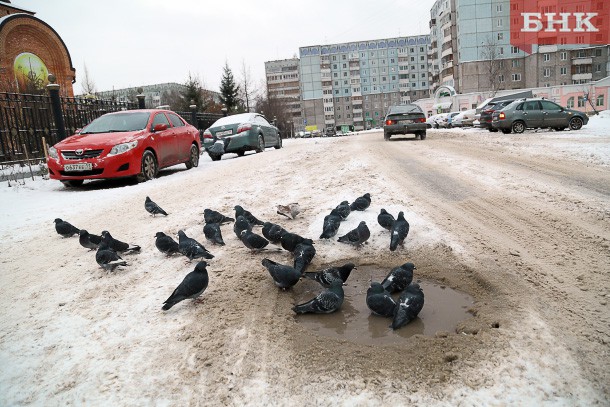 В Коми пришла «европейская» зима