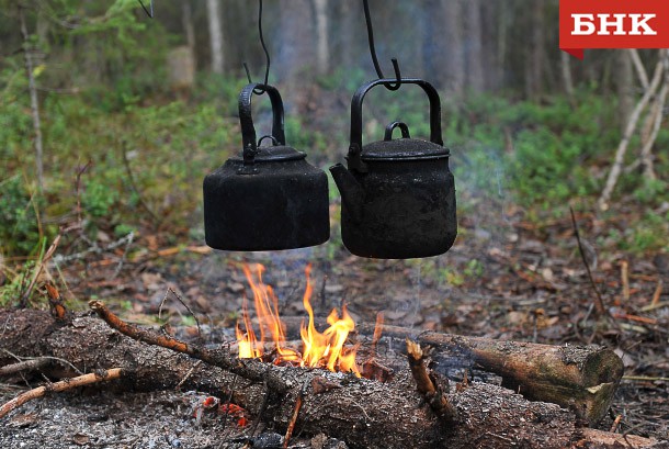 Усть-цилемка отработает 300 часов за пикник в лесу