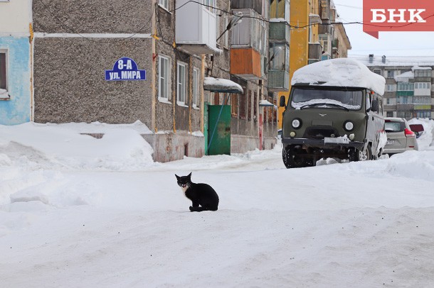 В Воркуте отменили школьные занятия из-за ветра