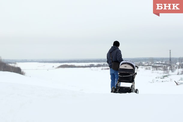 В Коми за 2018 год полторы тысячи семей обратились за выплатой на первенца