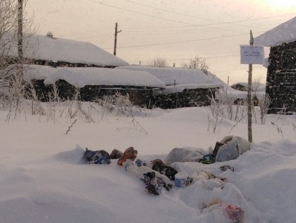 Жителям Богородска разрешили бросать мусор на землю