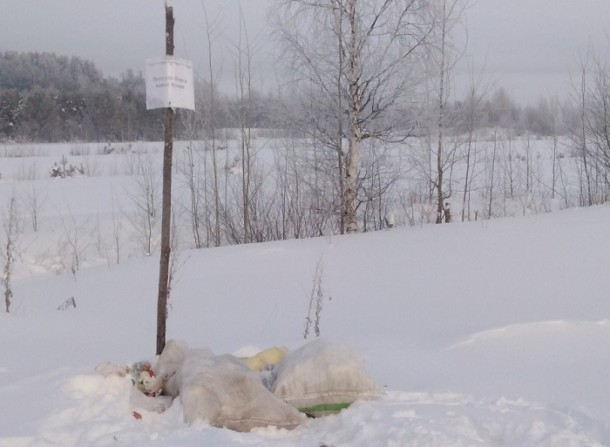 «Ухтажилфонд» не оценил решение мусорного вопроса в Богородске