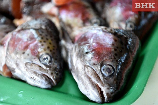 Как не заразиться гельминтами из рыбы и мяса