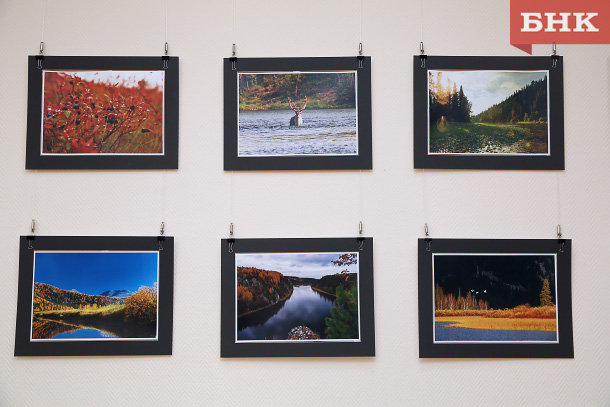 BOB_6266.jpg BOB_6266.jpg