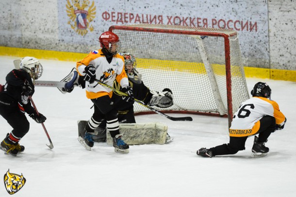 Сыктывкарские хоккеисты взяли серебро финала первенства СЗФО