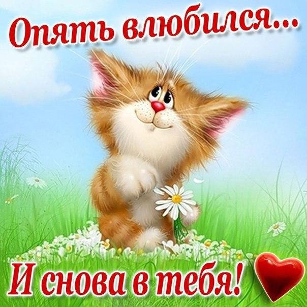 Гиф картинки - красиво, оригинально и востребовано