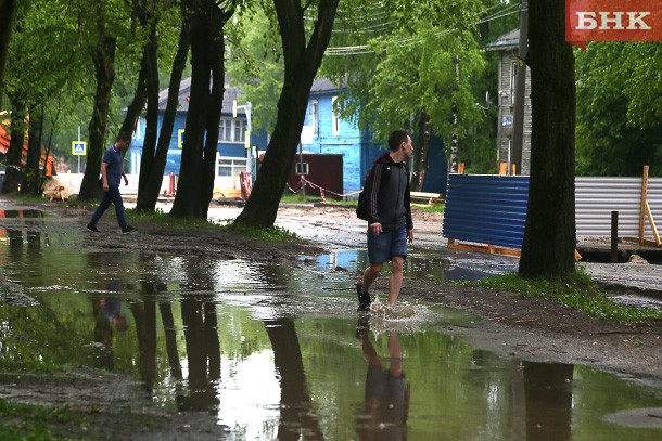 Начало июня в Коми обещают теплым и дождливым