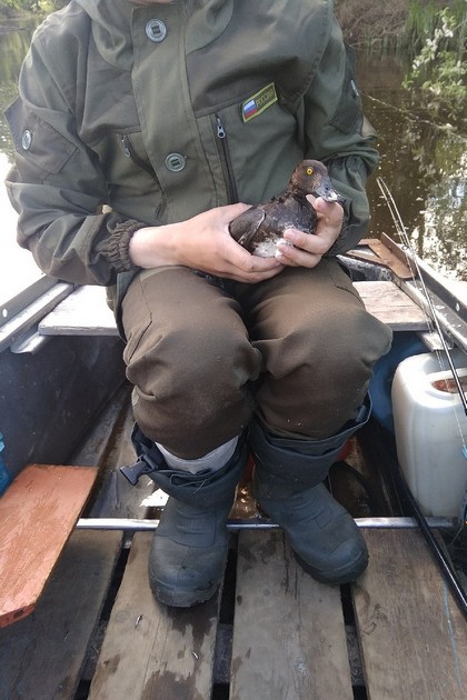 wx1080.jpg wx1080.jpg