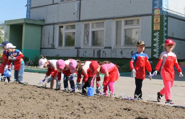 Усинские дошкольники подарили городу пять тысяч бархатцев