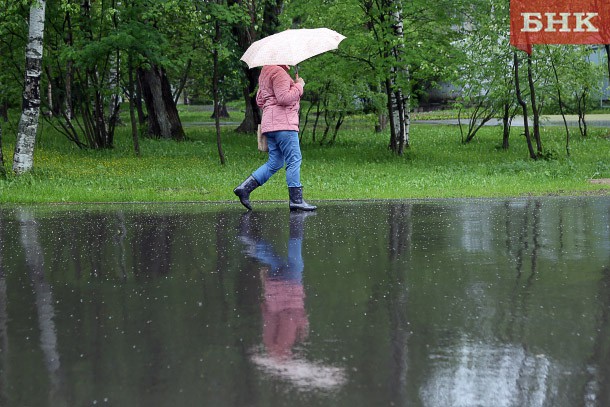 В Коми прогнозируют южный ветер и слабый дождь