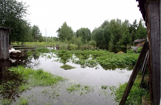 В Нившере половодьем подтопило дворы