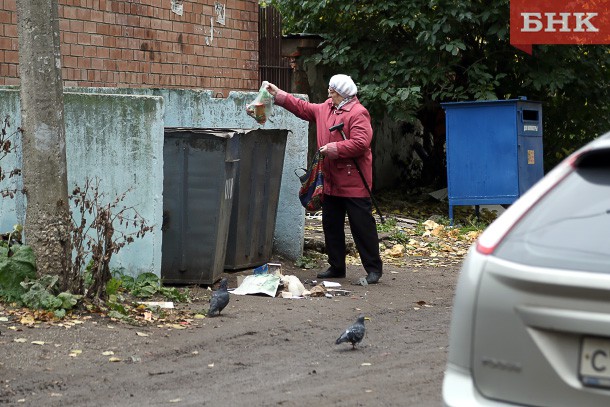 Стройжилтехнадзор Коми разъяснил правила содержания мусорных контейнеров