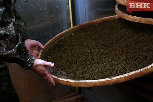 Совет китайца, изумление ученого и тайная война: как фермер из Аджерома начал сушить и продавать иван-чай