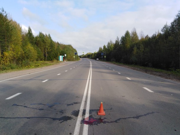 В Усть-Куломском районе выясняют причины смертельного ДТП