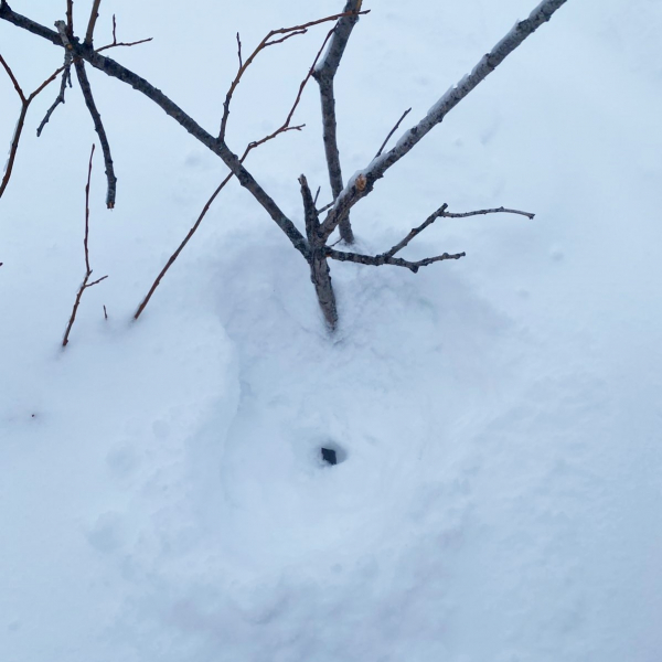 r6maBTht7jE-800x600.jpg r6maBTht7jE-800x600.jpg